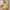 kf-S0ef4a5b9f93c43b894b9e0e44f13789dV 2026 Women Flower Strap Dress Summer Sleeveless Embossed Jacquard Backless Sling Maxi Dresses Female Casual Long Camisole Skirt