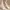 kf-Sa90ff5cc442f44469963f00ec882d7a1K New Luxury Pearls Sexy Slippers Women High Heels Sandals Ladies Elegant Summer Shoes Spike Heel Pumps Footwear Party Sandals